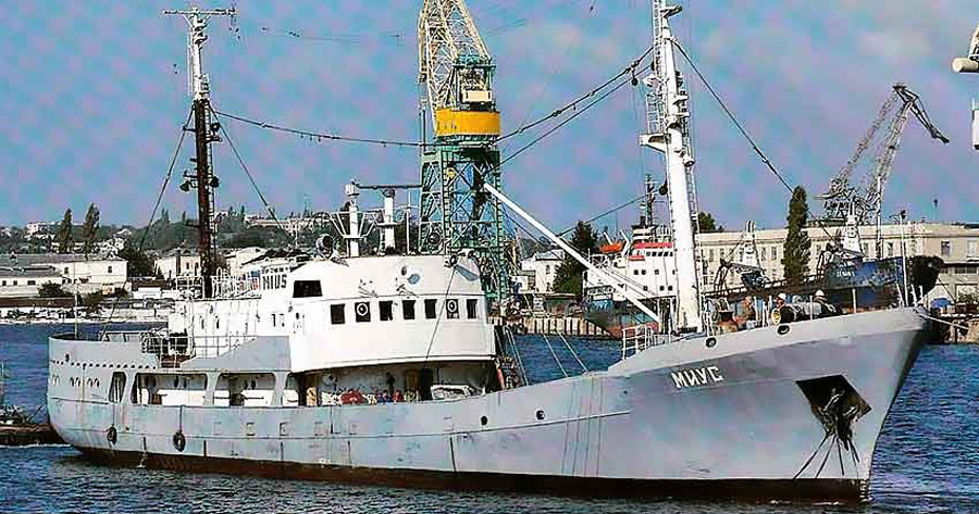 project502 dqxikeidqxidqrant