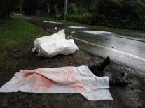 13434253_1061502850560173_184674095_n dqxikeidqxidqeant