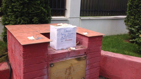 695342_1454794 dqxikeidqxidqrant