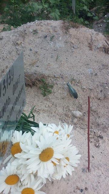 Скандал, набирающий оборот. Легенду «Правого сектора» похоронили на свалке Скандал, набирающий оборот. Легенду «Правого сектора» похоронили на свалке