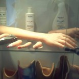 13705257_1070164713060272_1674839545_n