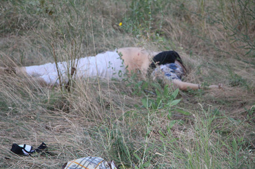 Под Николаевом пьяный водитель зерновоза врезался в микроавтобус с пассажирами: 2 человека погибло, еще 10 тяжело ранены - Copyright https://news.pn