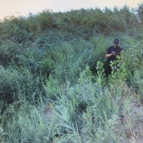 Фото: пресс-служба Нацполиции dqxikeidqxidqeant