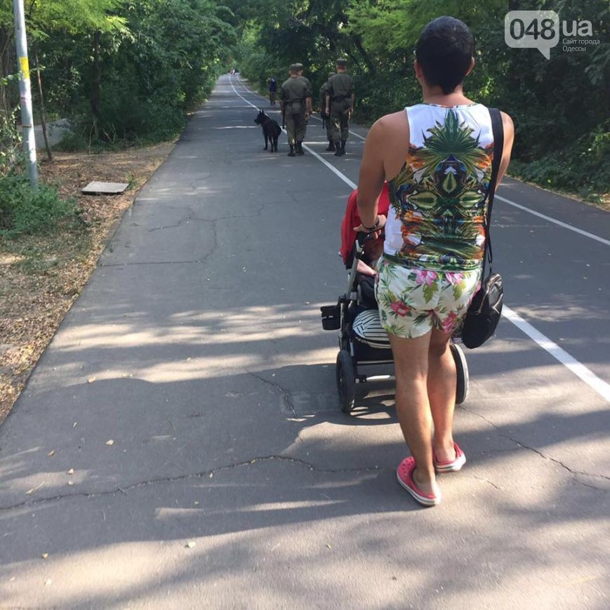 13600126_1201762209875933_5153946084525689674_n dqxikeidqxidqeant