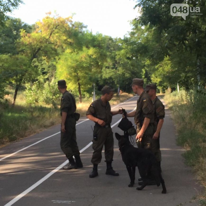 13645105_1201762249875929_875446938370801710_n