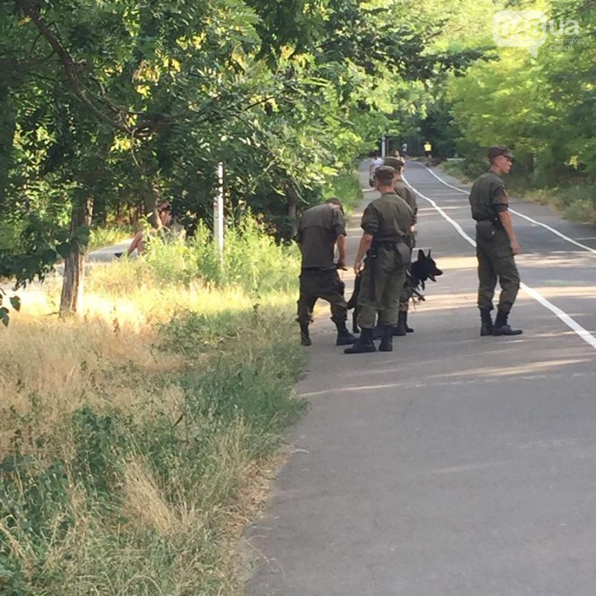 13690876_1201762216542599_3668718850957415185_n