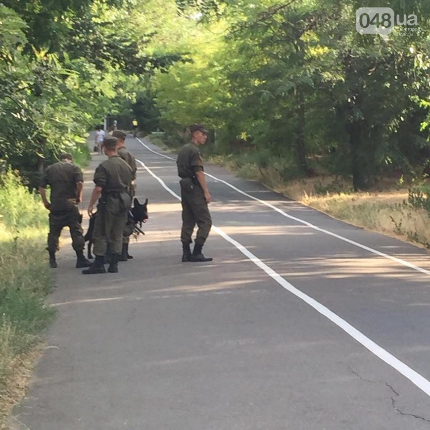 13731571_1201762243209263_4170688625053625877_n