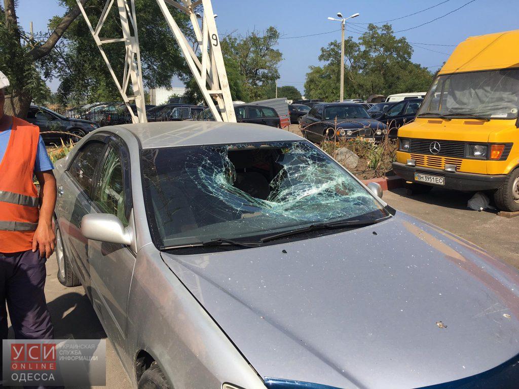 13661778_1775072939435714_6170977968790541485_o dqxikeidqxidqeant