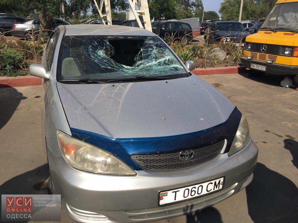 13613319_1775072969435711_7863099724248440572_o