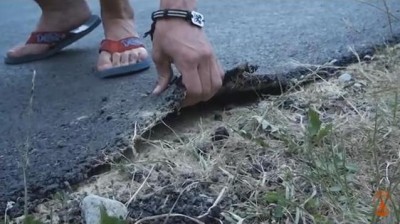 160801-asfalt-neyakisniy-Kuchuriv-fakty.cv.ua dqxikeidqxidqeant