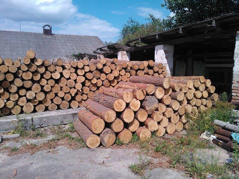 13900142_1641554022840120_8477807524282012770_n dqxikeidqxidqeant