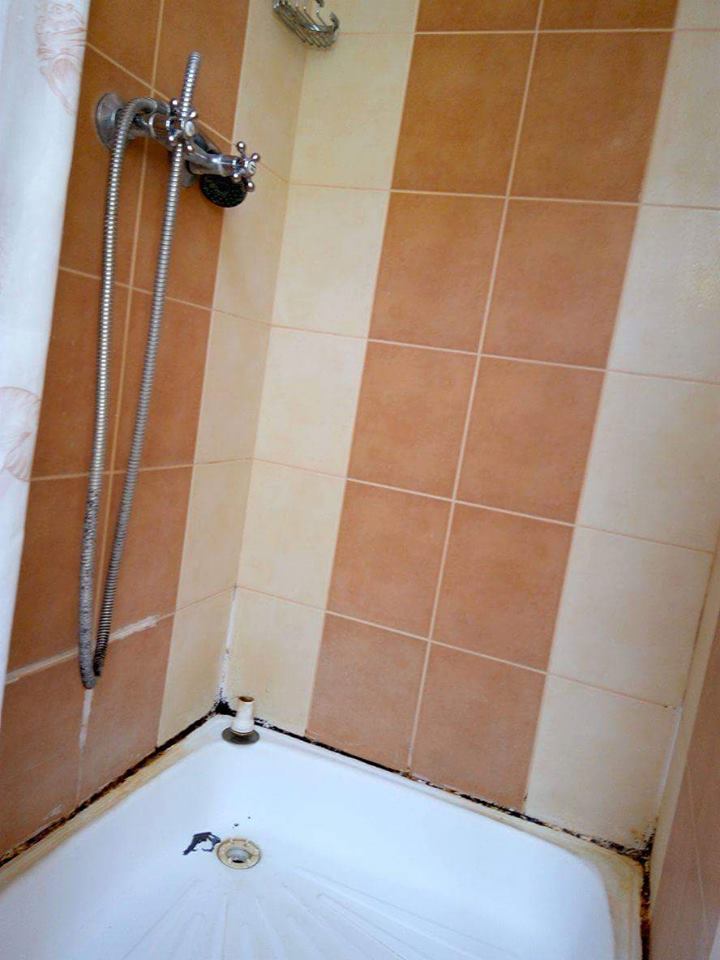 13939605_1073594226027981_9112727043559287796_n