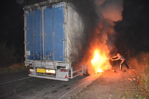 8431c718c94c582380fe4bd4af97d47e dqxikeidqxidqrant