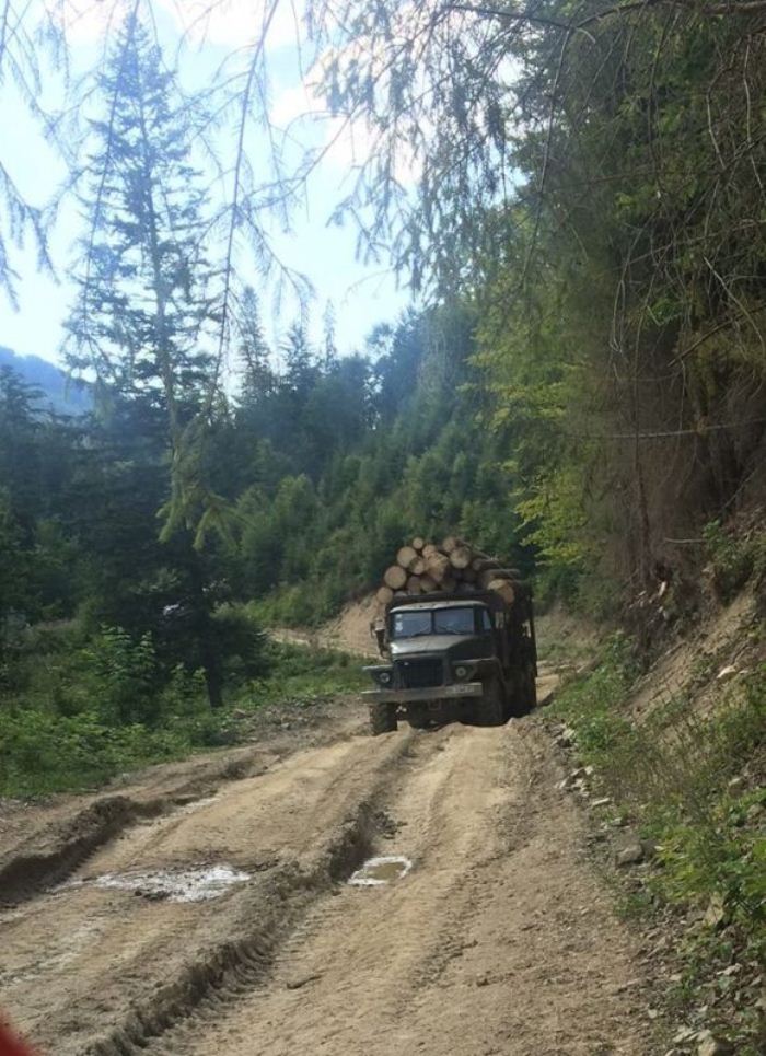 2_2.jpg dqxikeidqxidqeant