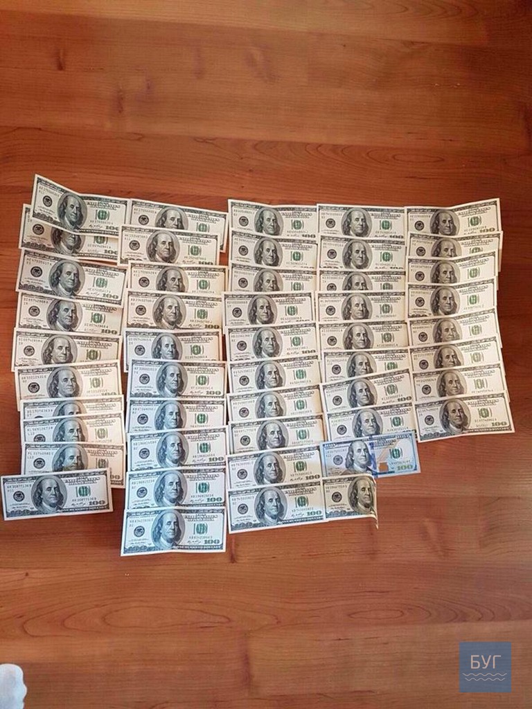 14224880_547256375482310_7640977341632728376_n dqxikeidqxidqrant