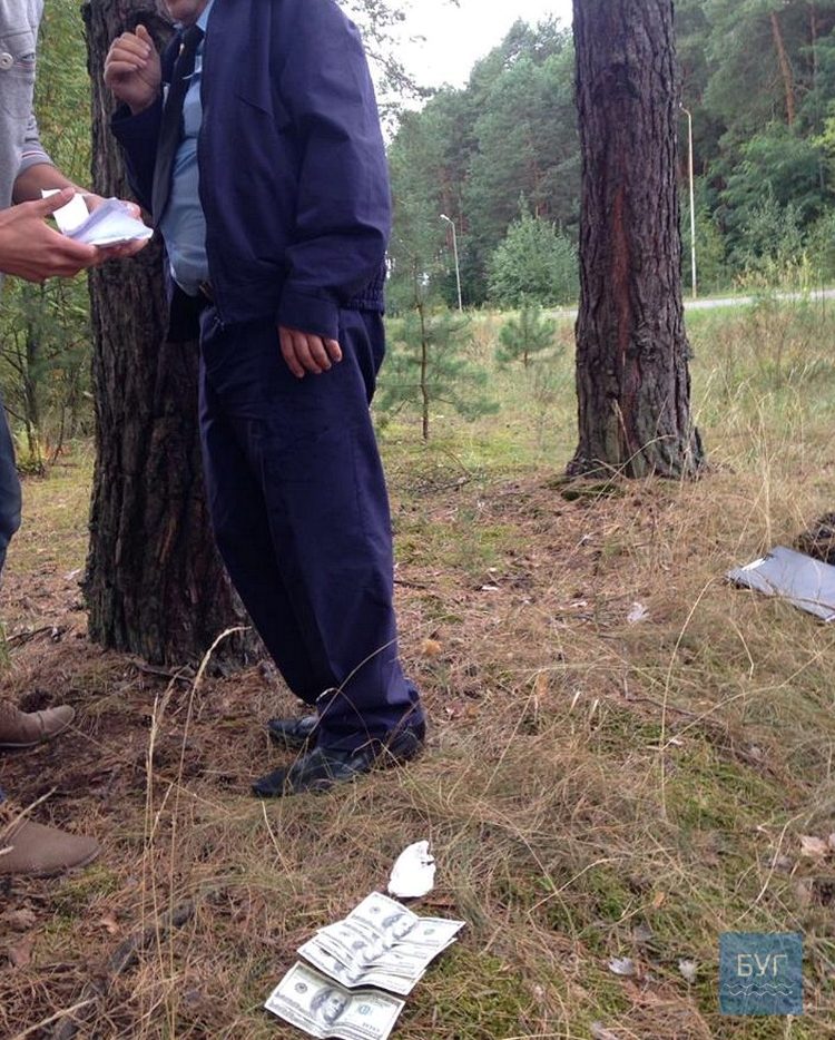 14264015_547256685482279_7584505548735173794_n