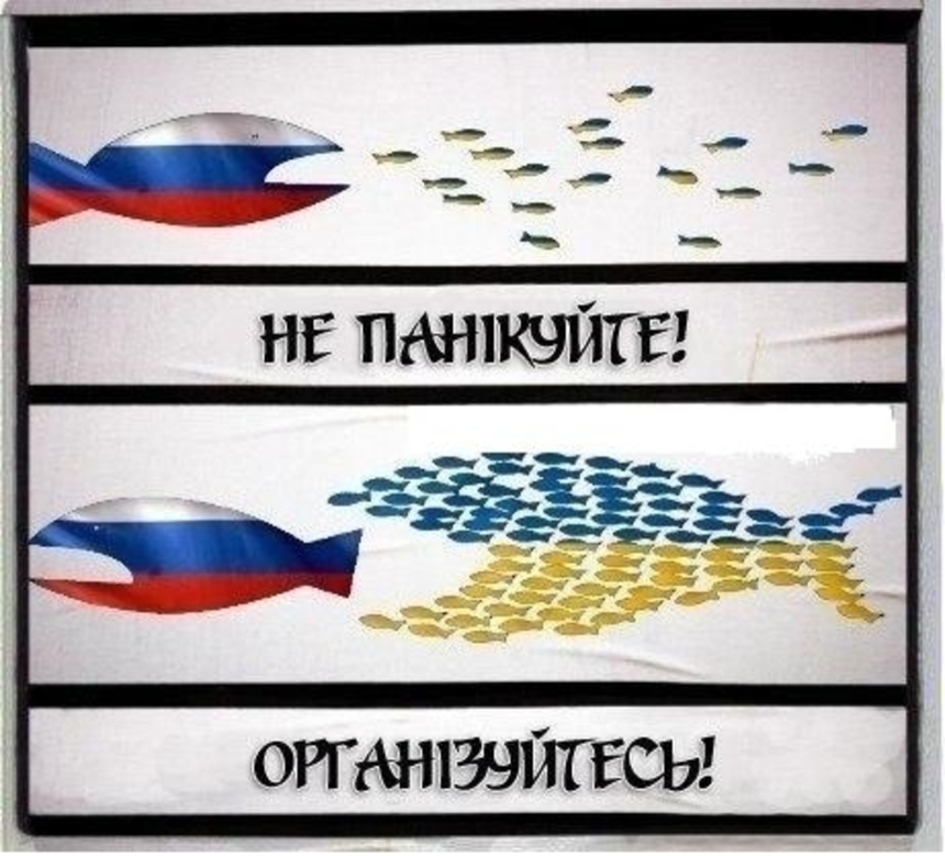    ,     dqxikeidqxidqrant