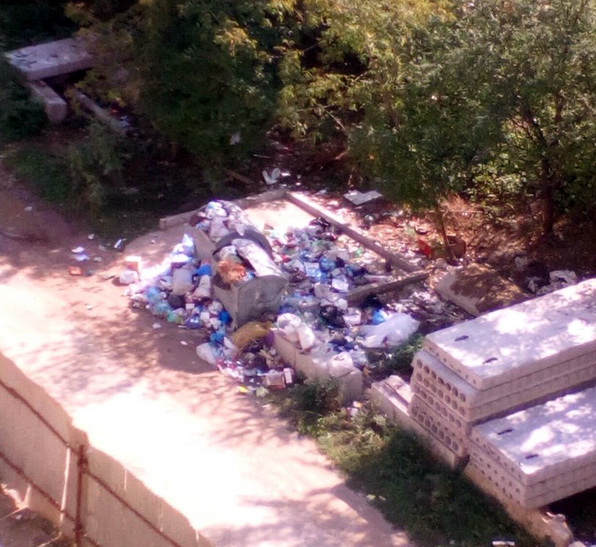 сміття у Львові