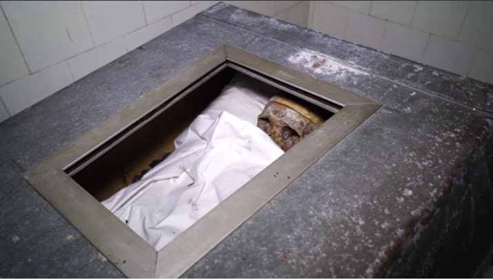 %d0%ba%d0%be%d1%82%d0%be%d0%b2%d1%81%d0%ba%d0%b8%d0%b9-1