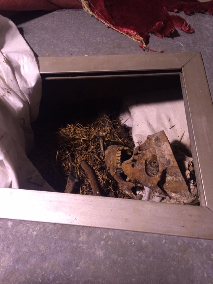 %d0%ba%d0%be%d1%82%d0%be%d0%b2%d1%81%d0%ba%d0%b8%d0%b9-3