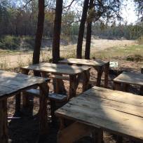 14449841_1168308816567930_2908306268874133429_n 14449841_1168308816567930_2908306268874133429_n