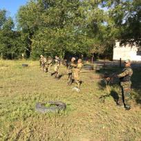 14492468_1168309516567860_4687174441581045835_n 14492468_1168309516567860_4687174441581045835_n