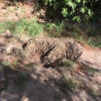 14445928_1168309626567849_6835622415755506817_n 14445928_1168309626567849_6835622415755506817_n