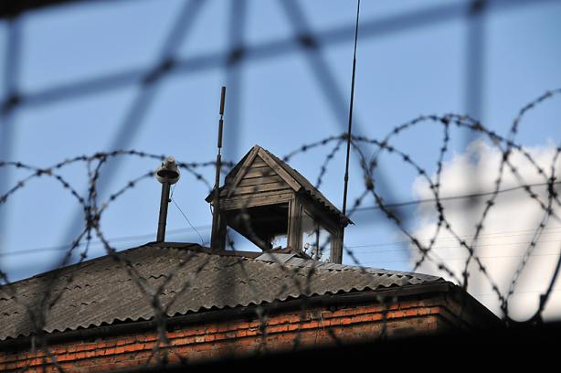 амнистия dqxikeidqxidqrant