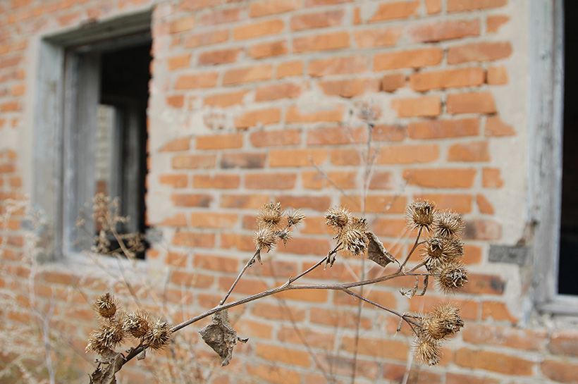 Утилизация отходов происходит исключительно на бумагах dqxikeidqxidqeant