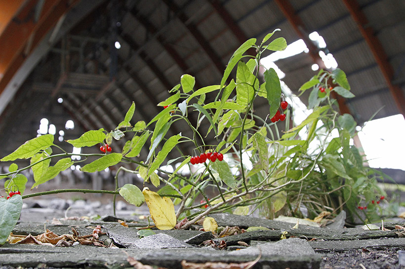 Утилизация отходов происходит исключительно на бумагах