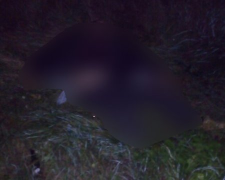 Смертельна ДТП на Ужгородщині: збитий велосипедист загинув на місці (ФОТО) Смертельна ДТП на Ужгородщині: збитий велосипедист загинув на місці (ФОТО) dqxikeidqxidqeant