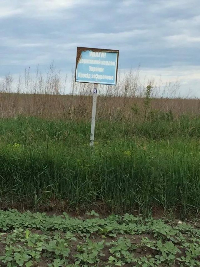 10704795_827839643933150_2022357276_n