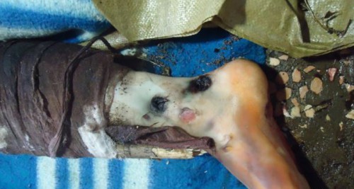 katuvanya-rus1 dqxikeidqxidqeant