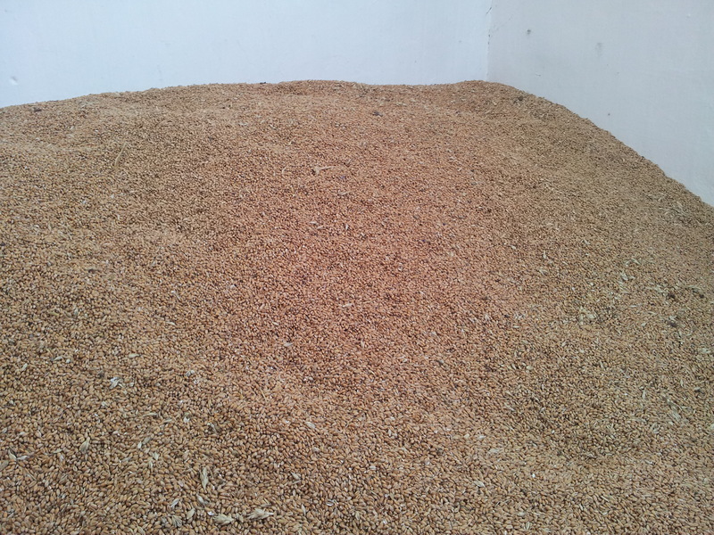 20140916_111814.jpg 20140916_111814.jpg