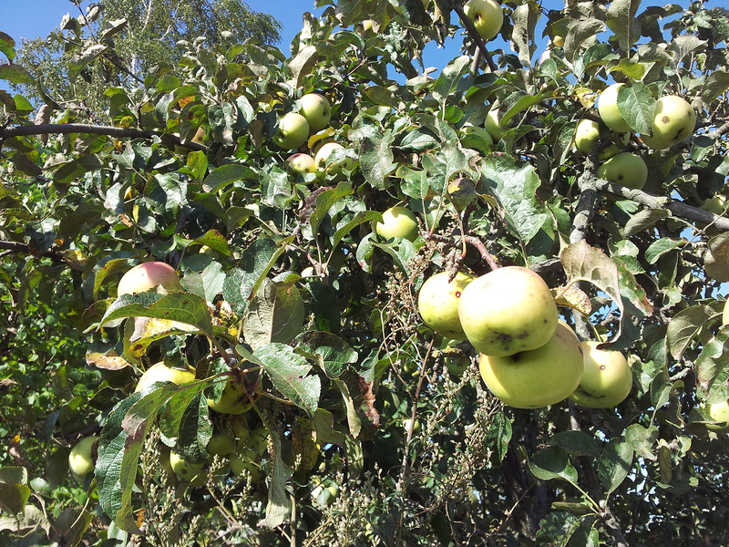 20140916_105255.jpg 20140916_105255.jpg