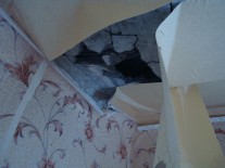 rtgyh195009619580372_n