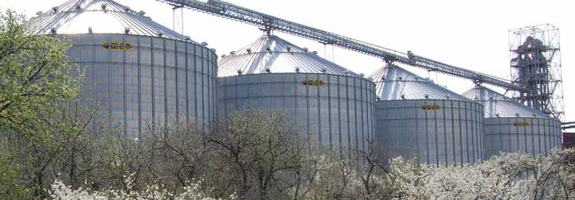 Харьковский рейдер Сергей Полумысный снова пытается «отжать» «Агросвит» Харьковский рейдер Сергей Полумысный снова пытается «отжать» «Агросвит» dqxikeidqxidqeant