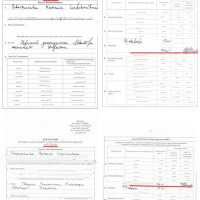 доки квартира Севастьяновой1