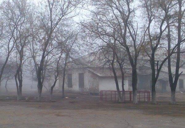 Ексклюзив: Невідома правда про наступну вдову Ексклюзив: Невідома правда про наступну вдову