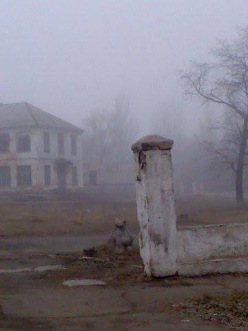 Ексклюзив: Невідома правда про наступну вдову Ексклюзив: Невідома правда про наступну вдову