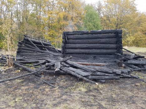 333444 dqxikeidqxidqeant