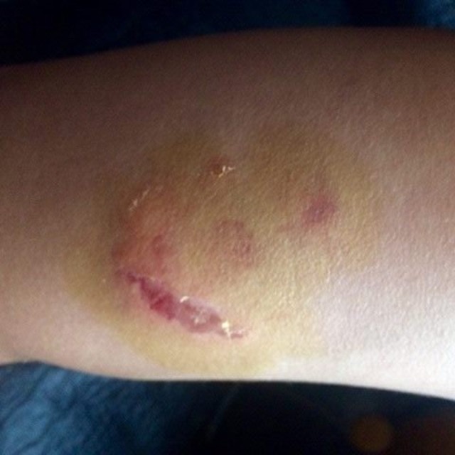 1479647304 dqxikeidqxidqrant