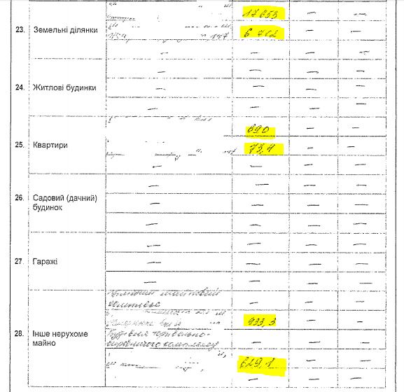 deklaratsiya-shamraya