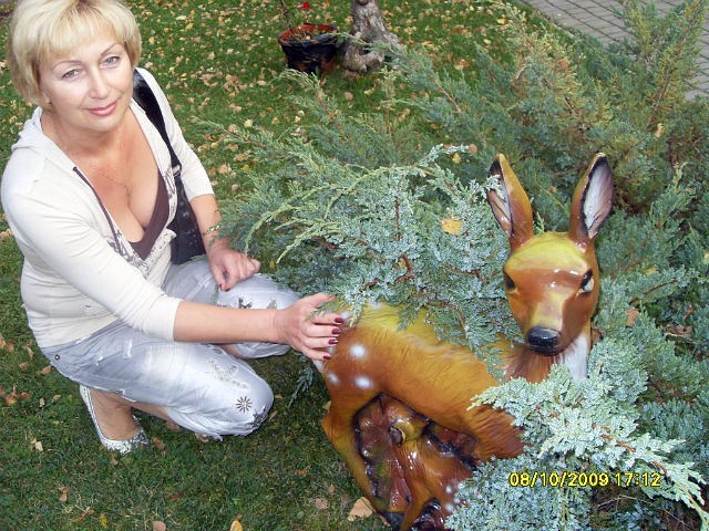 е dqxikeidqxidqeant