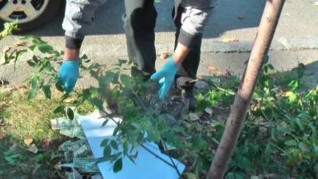 В Минэкологии свободовца Мохника процветает коррупция - СБУ. ВИДЕО В Минэкологии свободовца Мохника процветает коррупция - СБУ. ВИДЕО dqxikeidqxidqrant