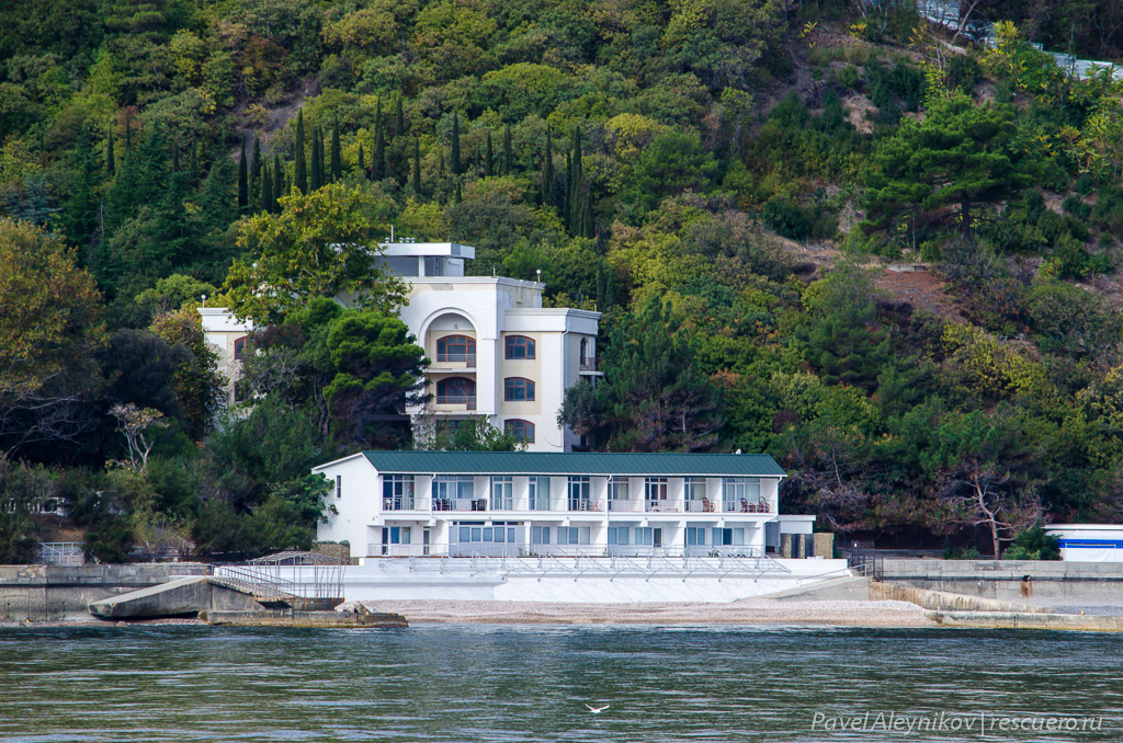 гліцинія dqxikeidqxidqeant