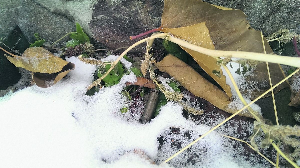 :  /  dqxikeidqxidqeant