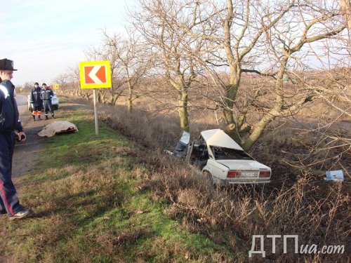 1327075095_nest7 dqxikeidqxidqeant