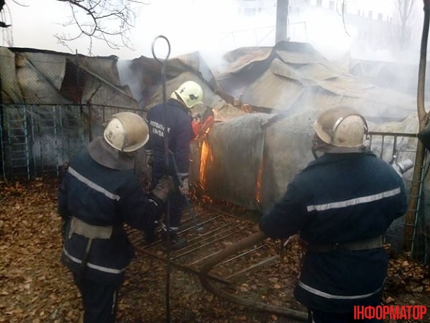 15731299_1364884603551484_812674637_n