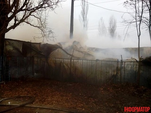 15749716_1364881886885089_709346774_n dqxikeidqxidqrant